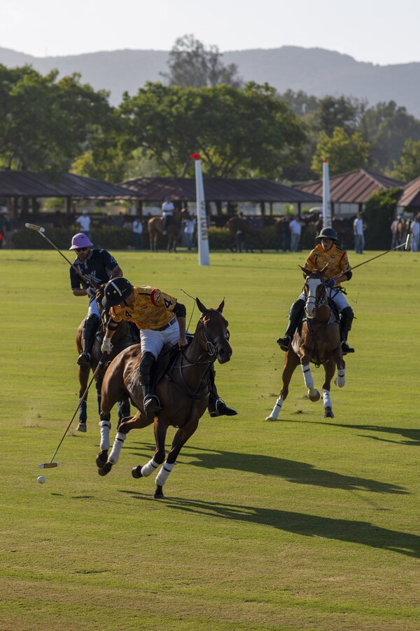 Polo-santa-maria-3-spelers.jpg