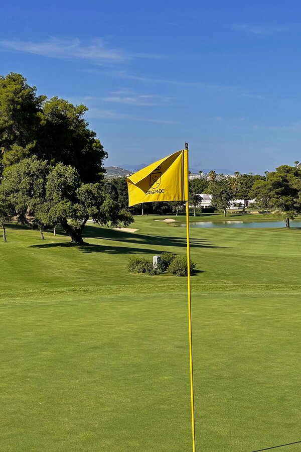 Flagstick-logo-sotogrande.jpg