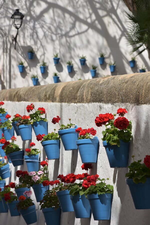 Marbella-bloemen-carmen.jpg